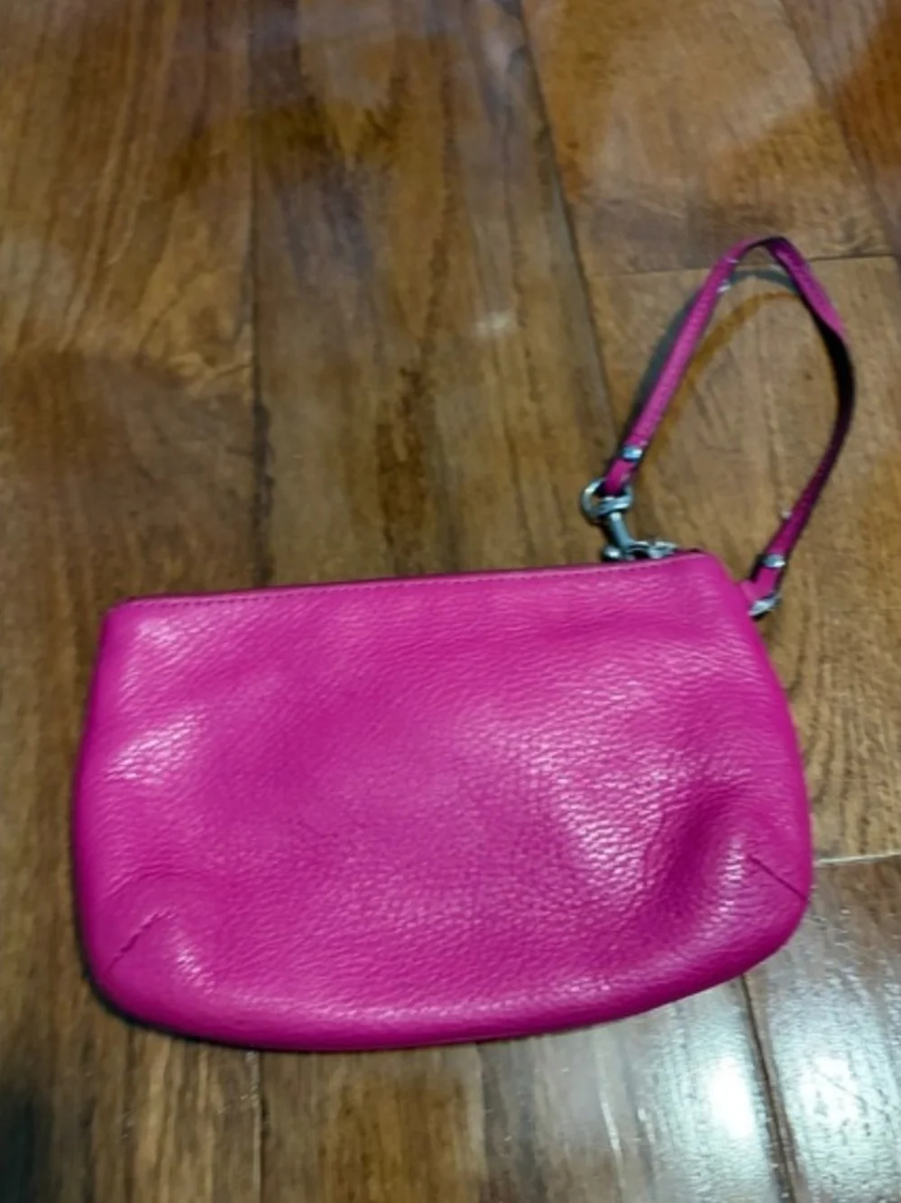 Coach stylish bright